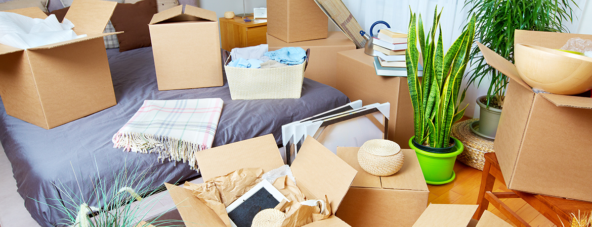 What is a home inventory and why do you need one? blog What is a home inventory and why do you need one? blog