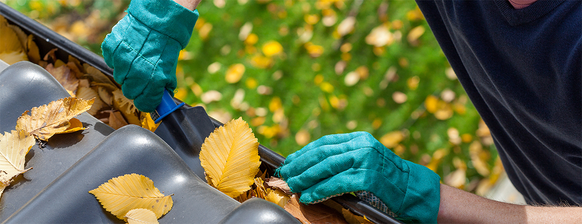 Pretty foliage can quickly turn ugly when it falls from trees and starts to call your gutters home Pretty foliage can quickly turn ugly when it falls from trees and starts to call your gutters home