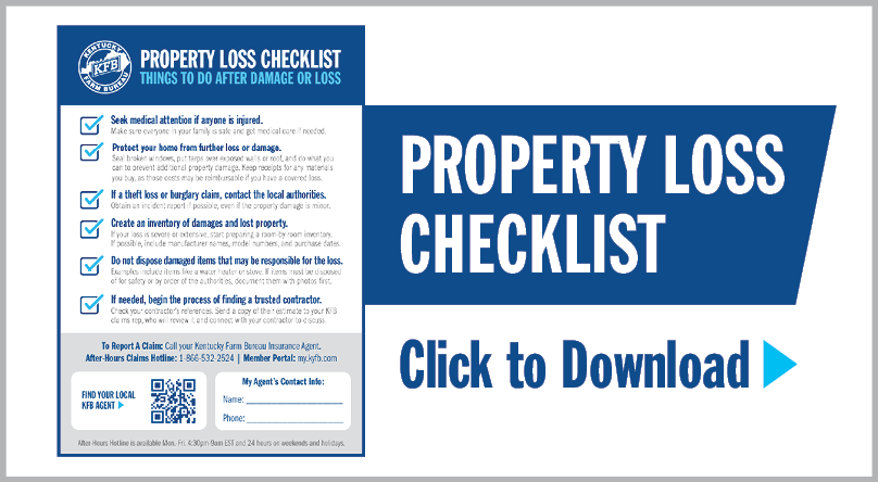 Property Loss Checklist Download