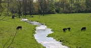 On Farm Water Management Program Flyer