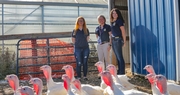 Grant County Agriculture Students Talk Turkey, Literally