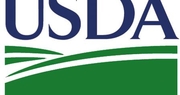 USDA predicts record corn crop despite early challenges
