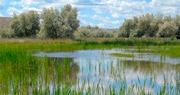 Secretary Vilsack Announces Additional 800,000 Acres Dedicated to Conservation Reserve Program for Wildlife Habitat and Wetlands