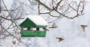 How this week’s bitter cold weather can damage Kentucky’s homes and businesses – and how it can be prevented