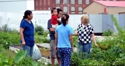 Extension Master Gardeners reach out to Burmese refugees