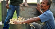 Biochar could offer solutions in Haiti