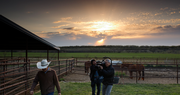 Acclaimed documentarian James Moll releases trailer and website for new film Farmland