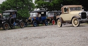 Model Ts and alpacas