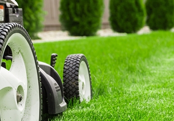 The mow you know: Six essential tips for grass cutting season
