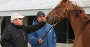 For Frank Penn, Horses and Tobacco have made a Great Combination on the Farm