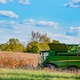 Grain Crops Update