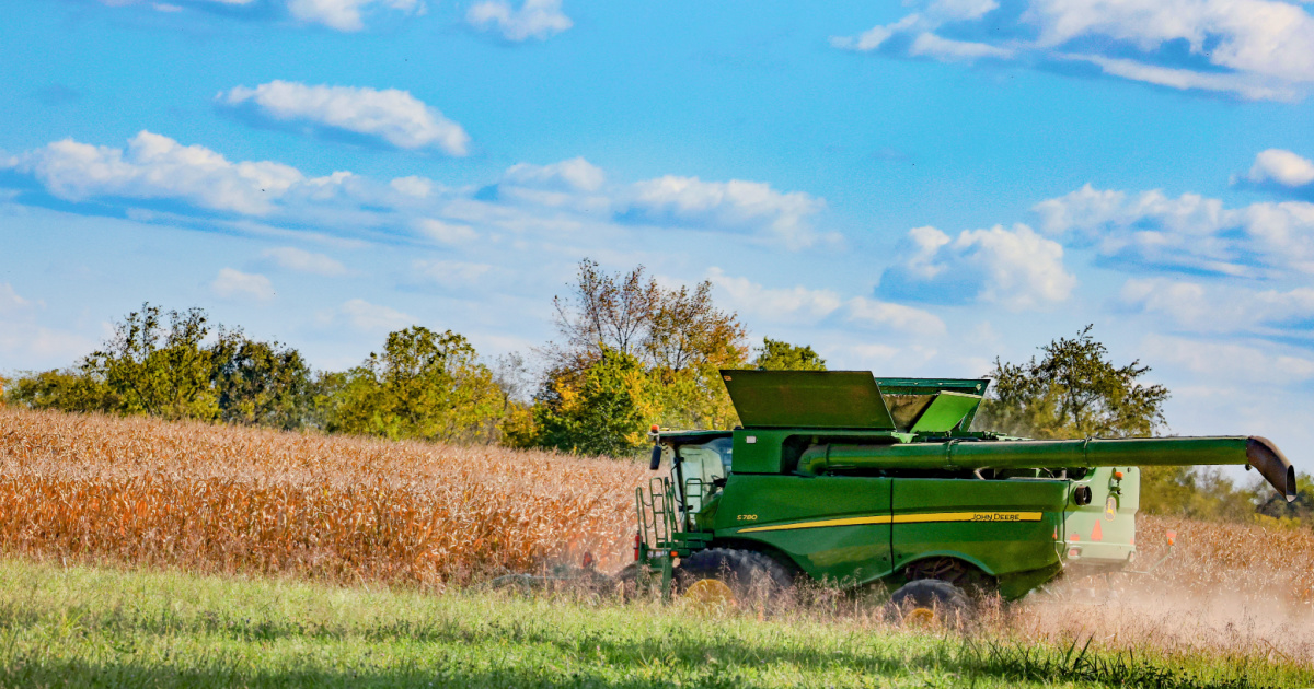 Grain Crops Update