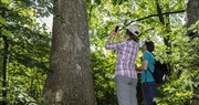 New tree app builds partnerships between citizens and scientists