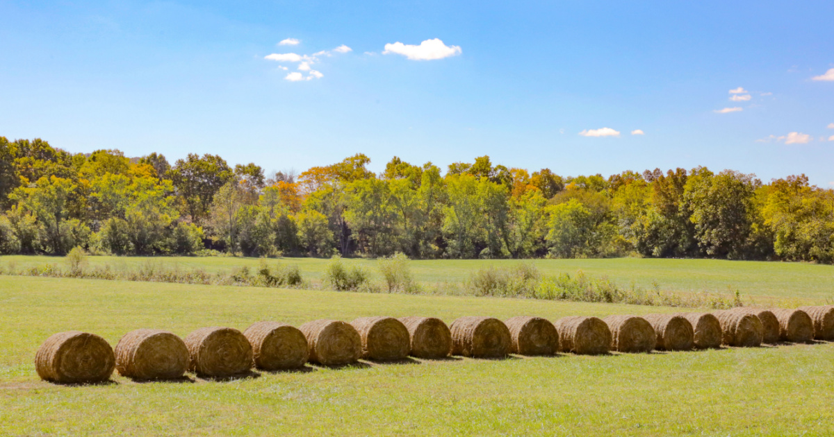 A Tale Of Two Extremes - Kentucky Farm Bureau