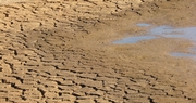 Kentucky Facing Unprecedented Drought