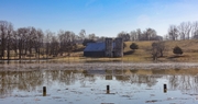 The Spring Season: What Effect Will Late Winter Storms Have on Kentucky Agriculture?