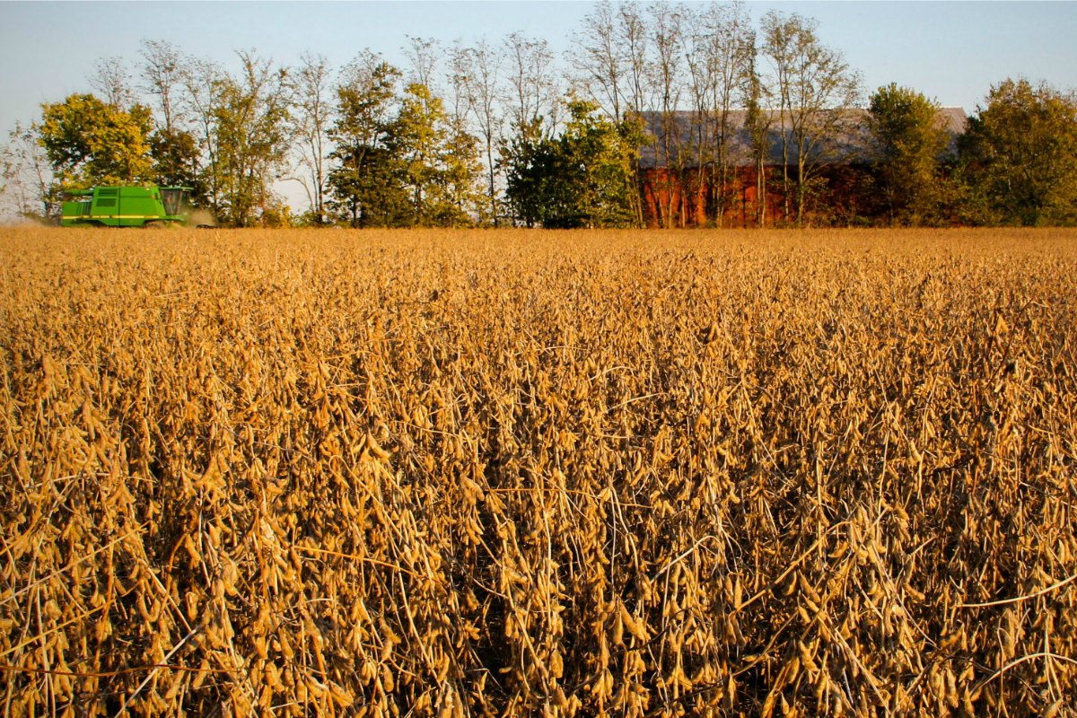 growing-our-food-supply-kentucky-farm-bureau