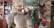 Assisted Living Facility Residents get a Holiday Visit  from an Unusual Guest