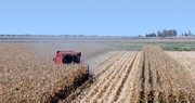 USDA forecasts lower corn and soybean production