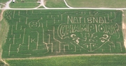 Devine’s has “Big Blue” corn maze