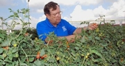 Extension agents helping bring the farm to school