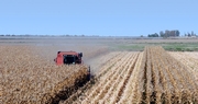 USDA Increases Corn and Soybean Production Forecast