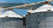 Manage grain bins to maintain quality, profit