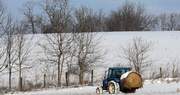 Winter Wheat Production Forecast Up Four Percent from June