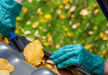Trees, leaves and debris: Your gutters' worst enemies Trees, leaves and debris: Your gutters' worst enemies