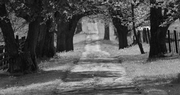 Stress on the Farm and in Rural America: Acknowledging its existence can be a good first step in combating this issue Stress on the Farm and in Rural America: Acknowledging its existence can be a good first step in combating this issue