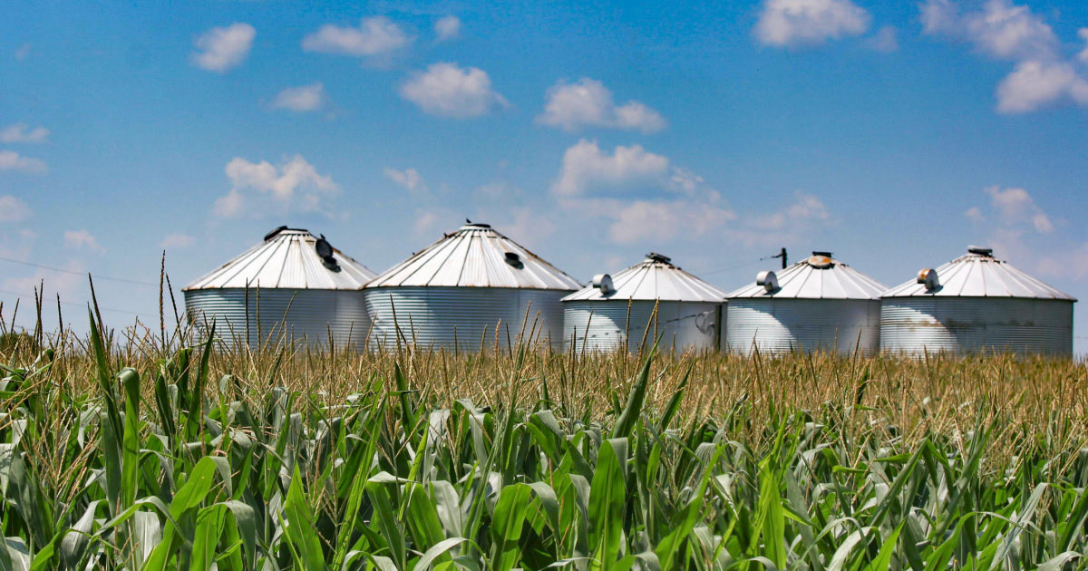 Kentucky Agriculture, Ready for Renewable Fuels Expansion Kentucky Agriculture, Ready for Renewable Fuels Expansion