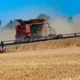 As the 2025 Harvest Continues As the 2025 Harvest Continues