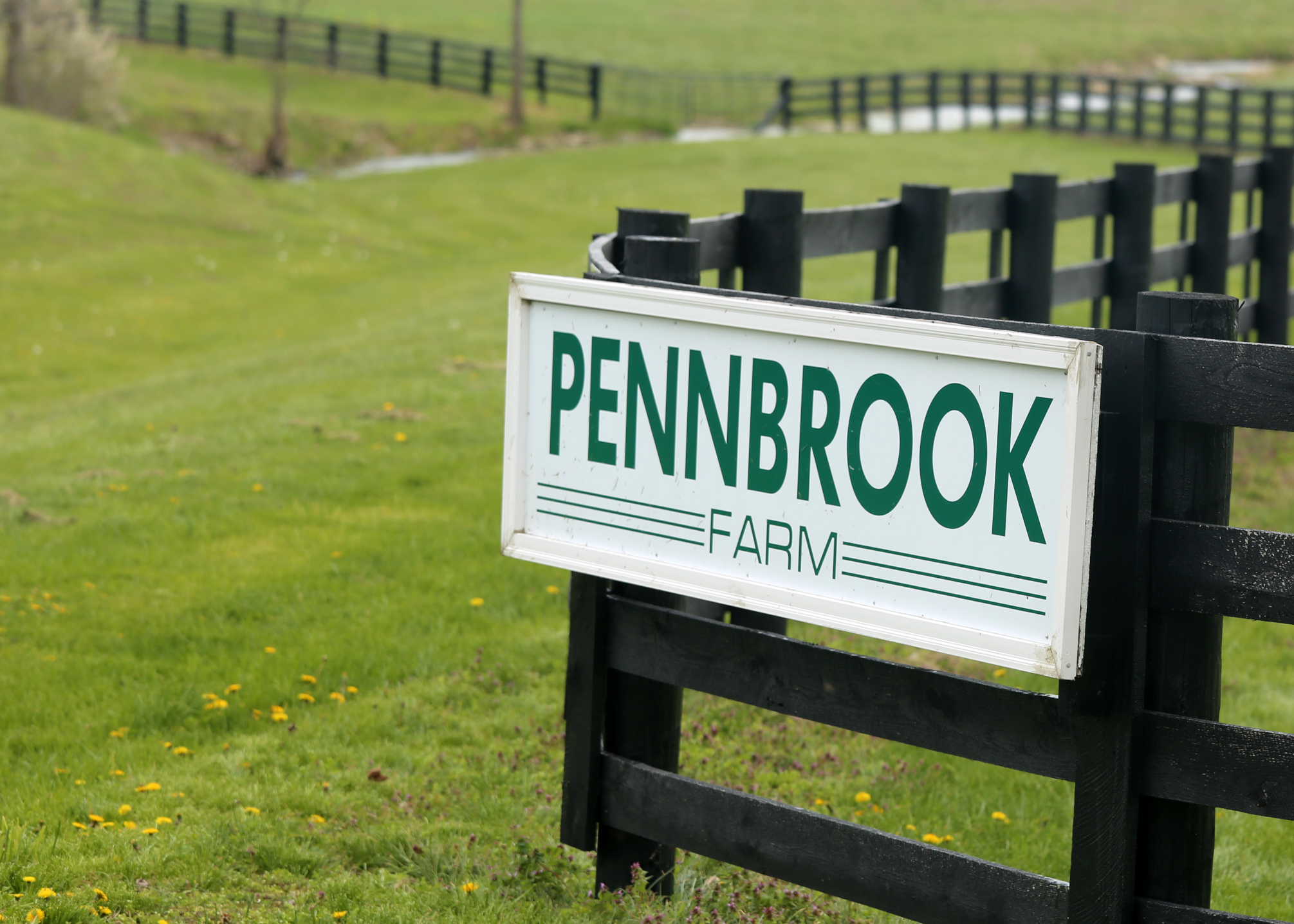 ;Tourism is just scratching the surface of what it can be ;Tourism is just scratching the surface of what it can be